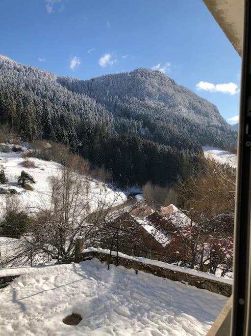 Magnifique Maison Renovee, 10Pers Rencurel Luaran gambar